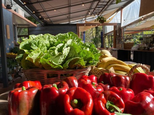 Photo post from currumbinvalleyharvest.