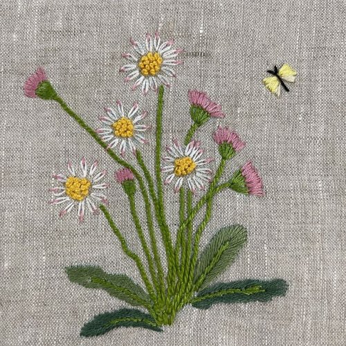 Embed Feed Embed Feed