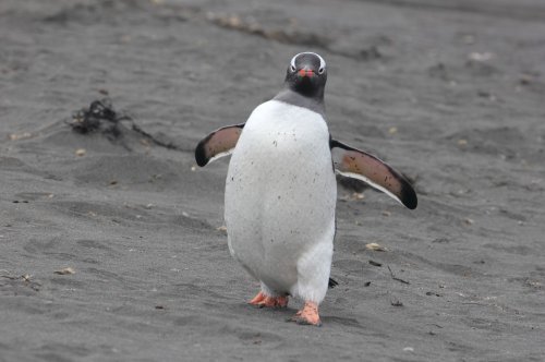 Photo post from taucktravel.