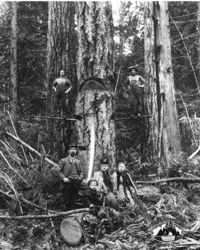 Photo post from shawniganlakemuseum.