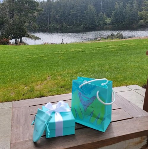 Carousel post from ashley.tiffanys.portland.