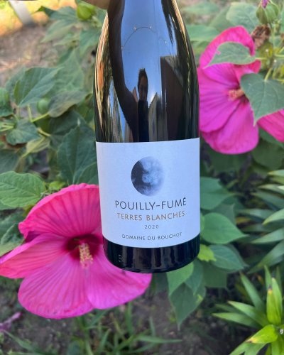 Photo post from dandywineshop.