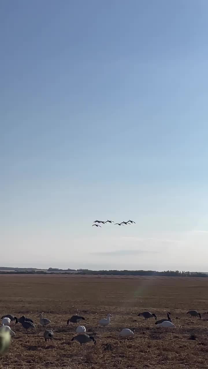 Video post from northernskiesoutfitters.