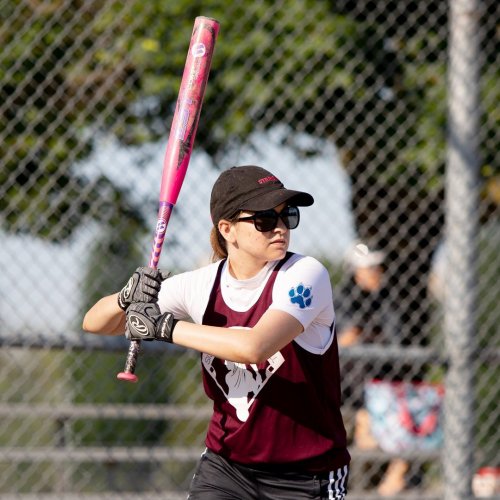 Photo post from sisterhoodsoftball.