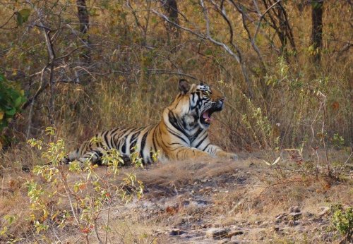 Photo post from taucktravel.