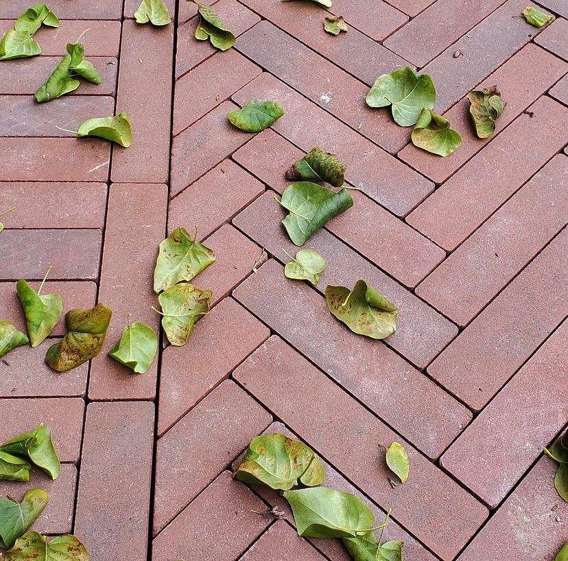 Photo post from techobloc.