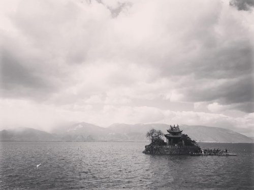 Photo post from sylvanali.reiki.andbeyond.