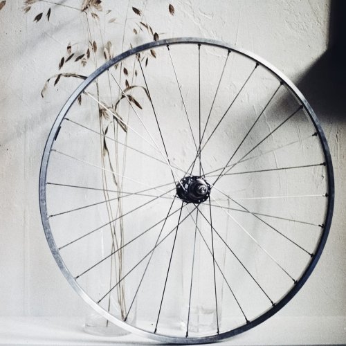 Photo post from slowspinsociety.