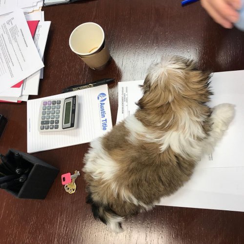 Photo post from kerisellsaustin.