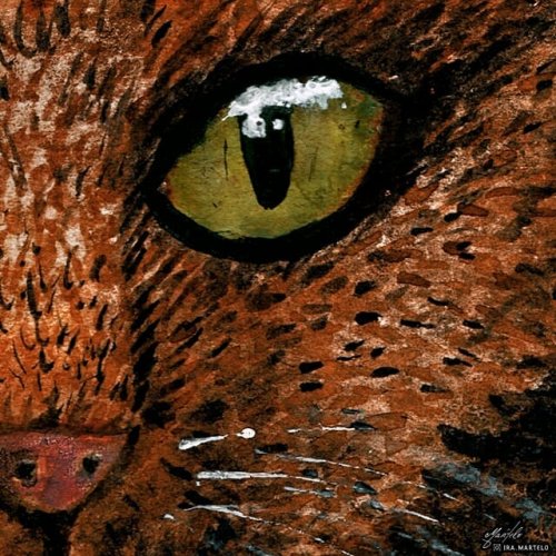 Carousel post from ira.martelo.