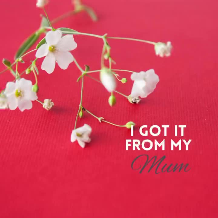 Video post from counterpoint_digital.