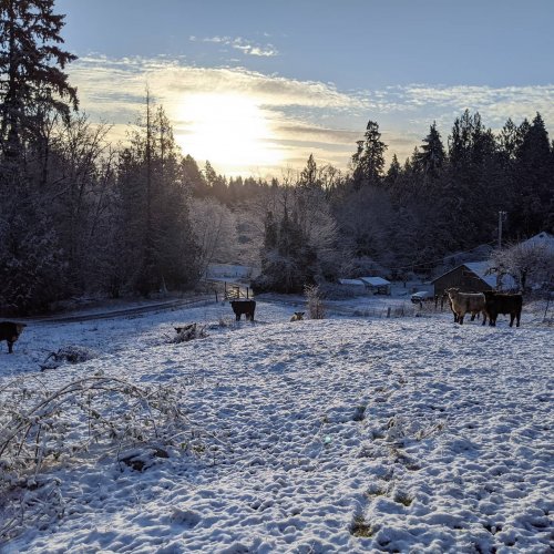 Carousel post from hungryhollowfarm.