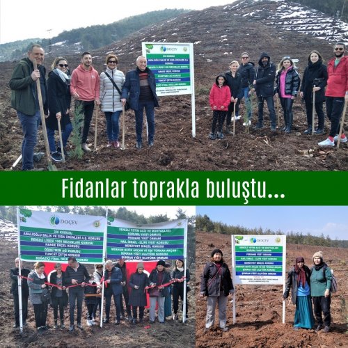 Photo post from dogavecevrevakfi.