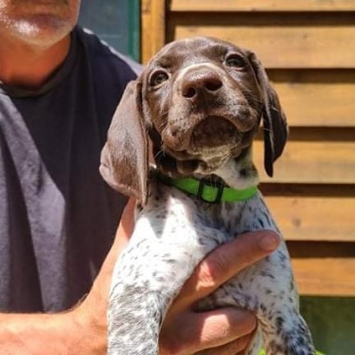 Carousel post from reddogguideservice.