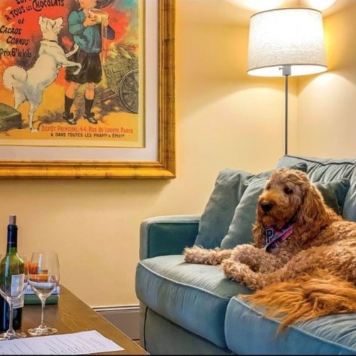 Photo post from hotelonnorth.