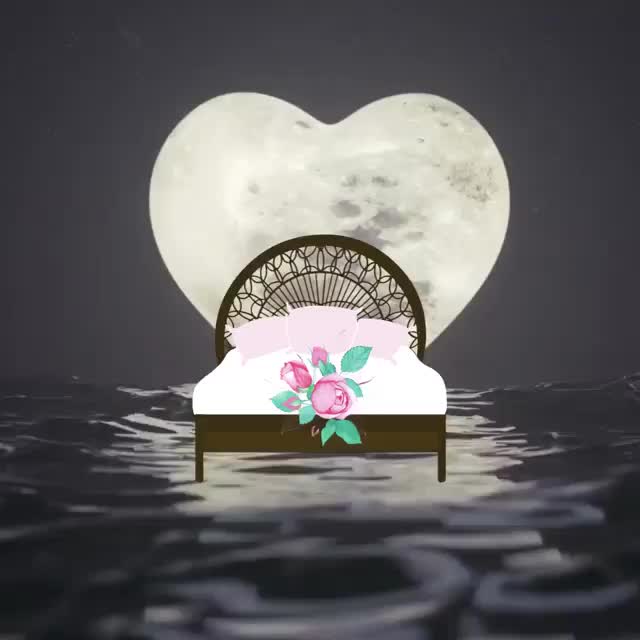 Video post from emilylglaser.