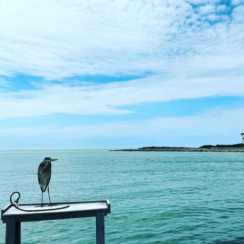 Carousel post from florida_musician_guy.