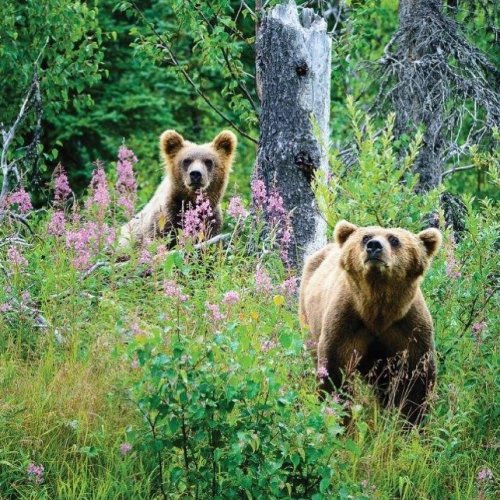 Photo post from taucktravel.