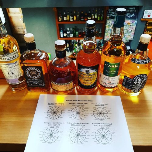 Photo post from wonderhorsebar.