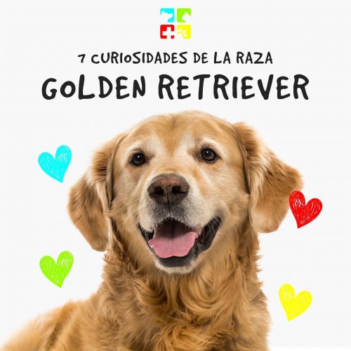 Carousel post from medicalpettj.