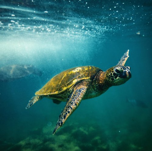 Photo post from taucktravel.