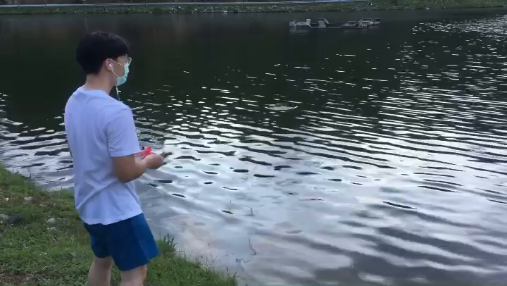 Video post from biesukrit_w.