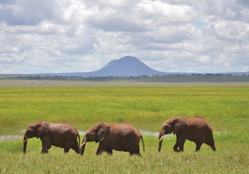 Photo post from taucktravel.