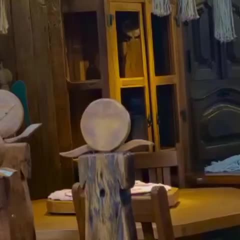 Video post from sashe.loja.
