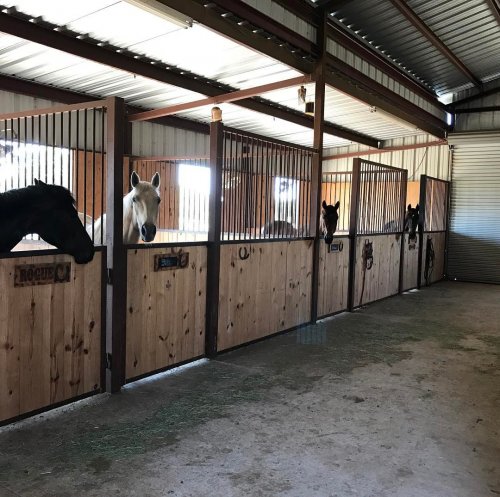 Photo post from kerisellsaustin.