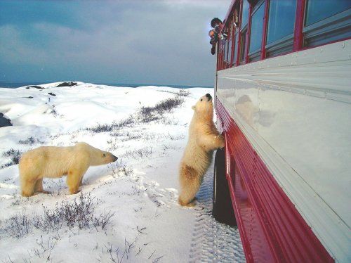 Photo post from taucktravel.