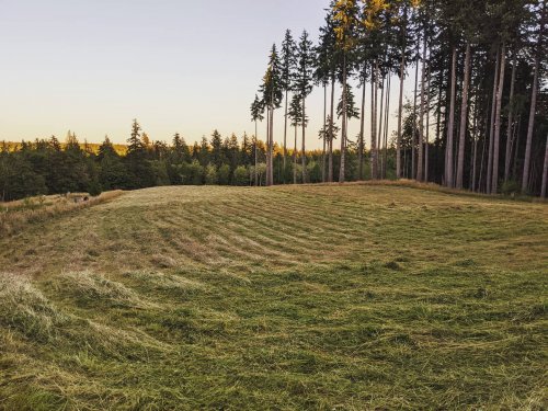 Photo post from hungryhollowfarm.