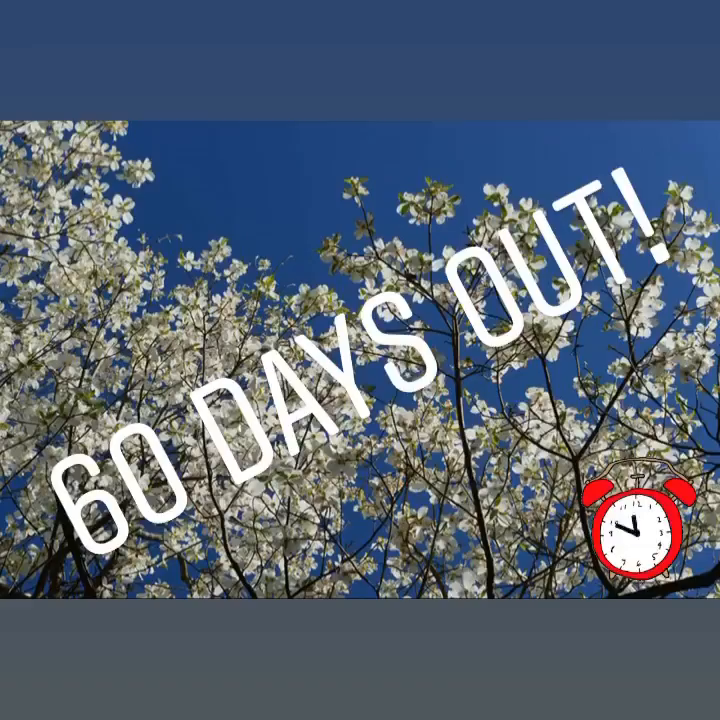 Video post from dogwoodfestival.
