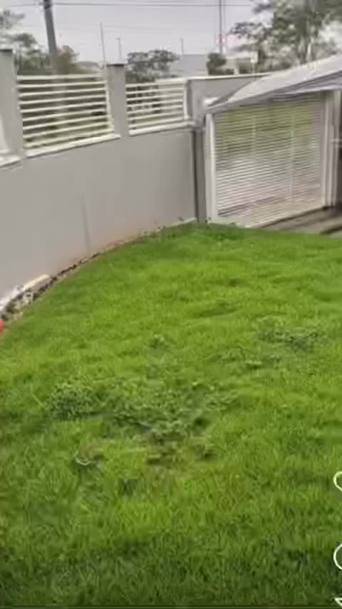 Video post from cooperativadapiscina.