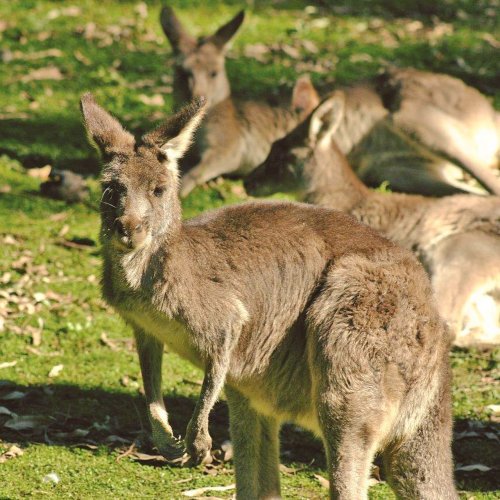 Carousel post from taucktravel.