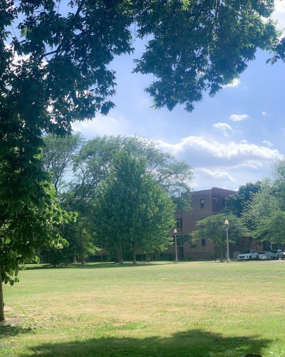 Photo post from dwightlofts.