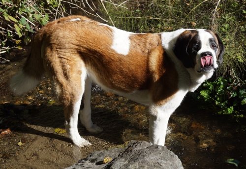 Photo post from hungryhollowfarm.