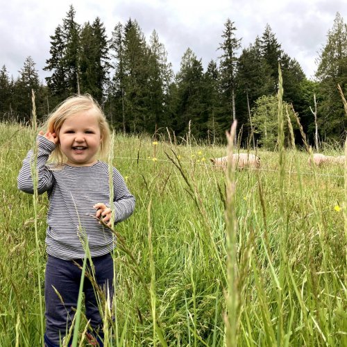 Photo post from hungryhollowfarm.