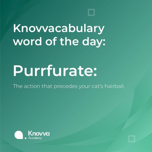 Photo post from knovva_academy.