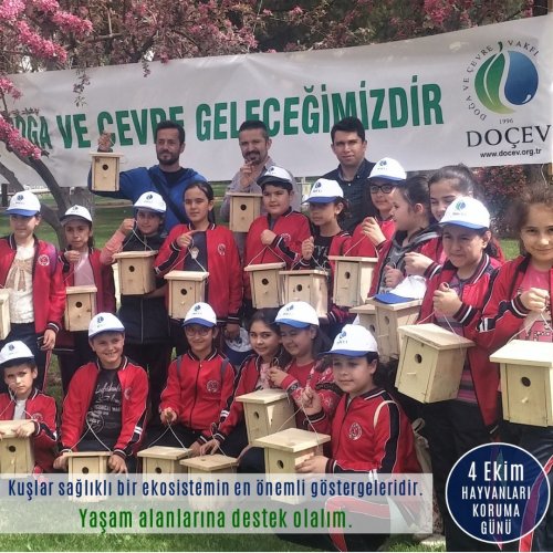 Photo post from dogavecevrevakfi.