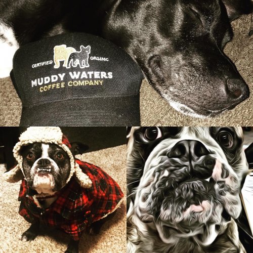 Photo post from muddywaterscoffeecompany.