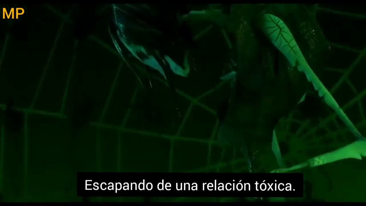 Video post from lorenaposadaterapeuta.