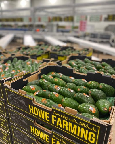 Photo post from howefarming.