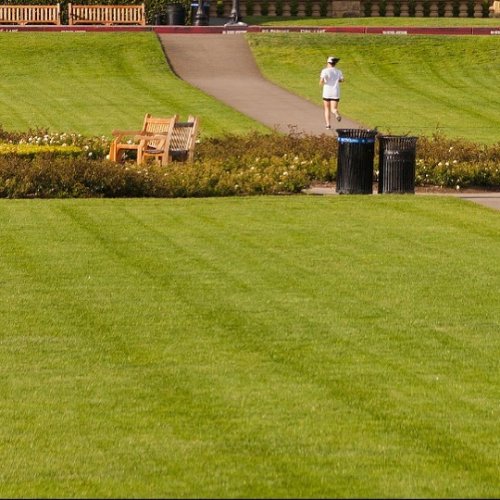 Photo post from stanford_scigc.