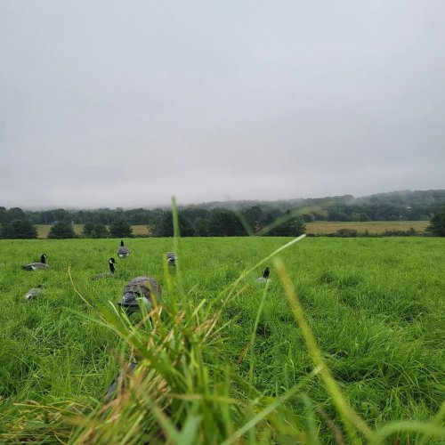 Photo post from reddogguideservice.