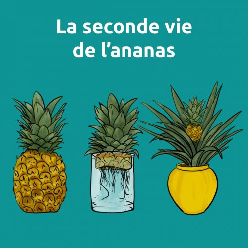 Photo post from ricardo_ch.fr.