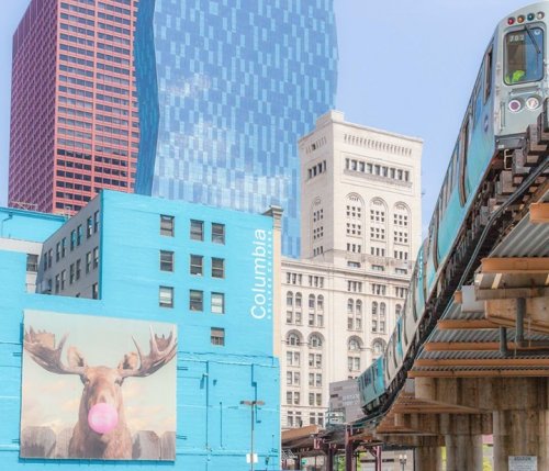Photo post from dwightlofts.