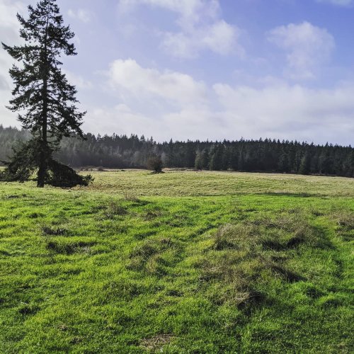 Carousel post from hungryhollowfarm.