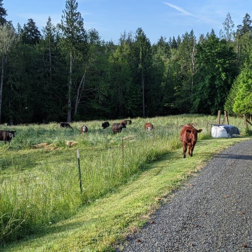Photo post from hungryhollowfarm.