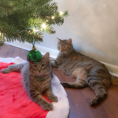Photo post from dwightlofts.