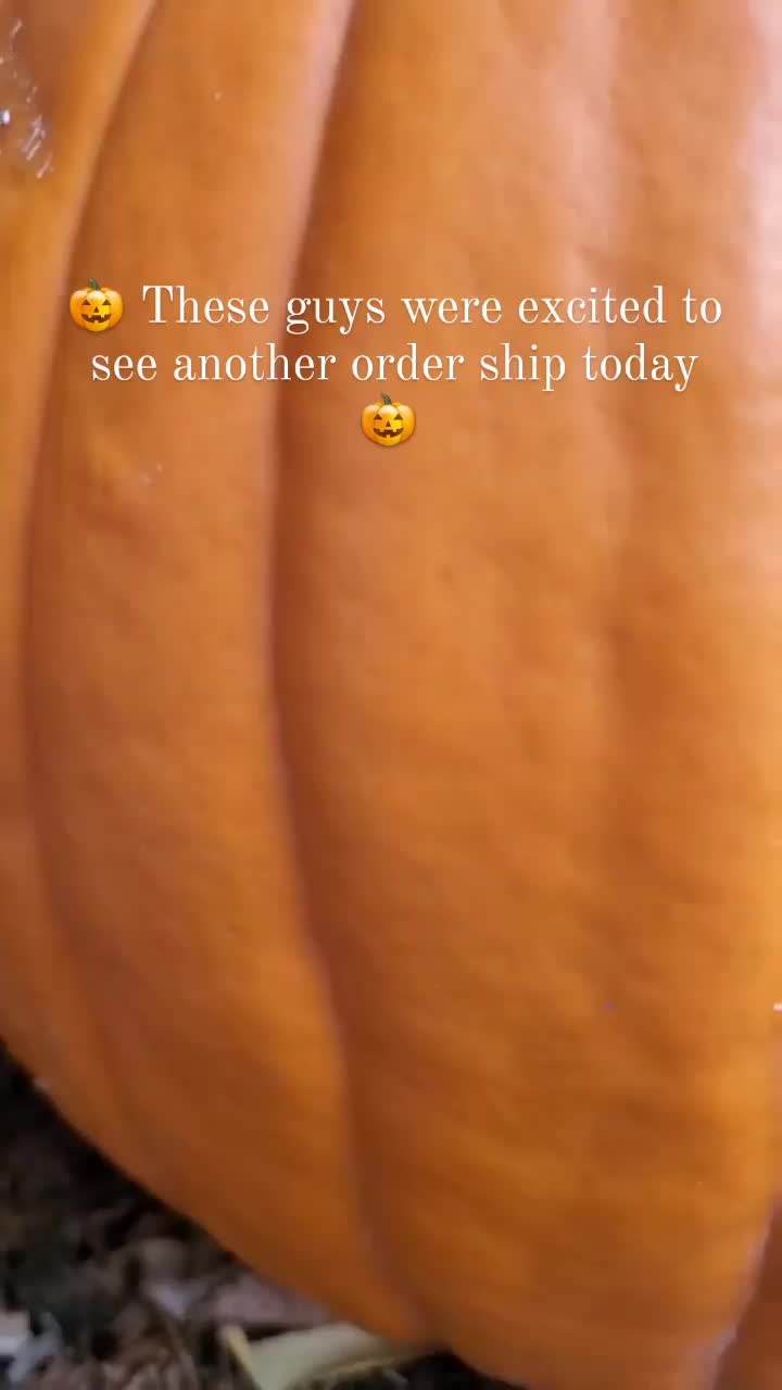 Video post from madebymilne.